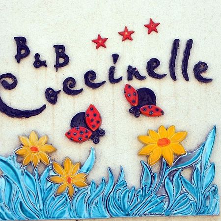 סן ויטו לו קאפו B&B Coccinelle מראה חיצוני תמונה